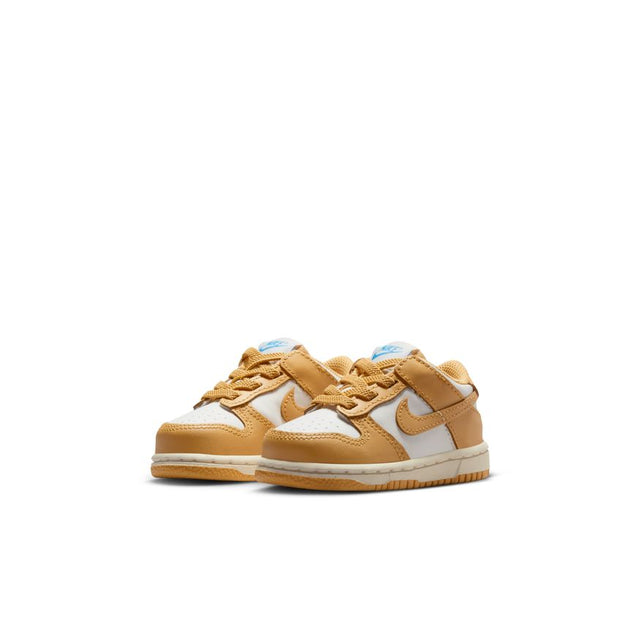 Buy NIKE Nike Dunk Low FB9107-700 Canada Online