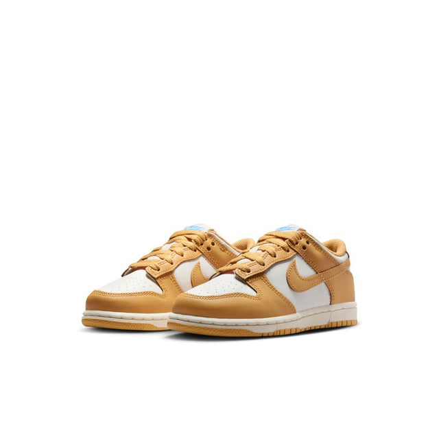 Buy NIKE Nike Dunk Low FB9108-700 Canada Online