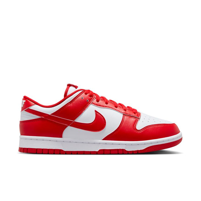 Buy NIKE Nike Dunk Low Retro HF5441-104 Canada Online
